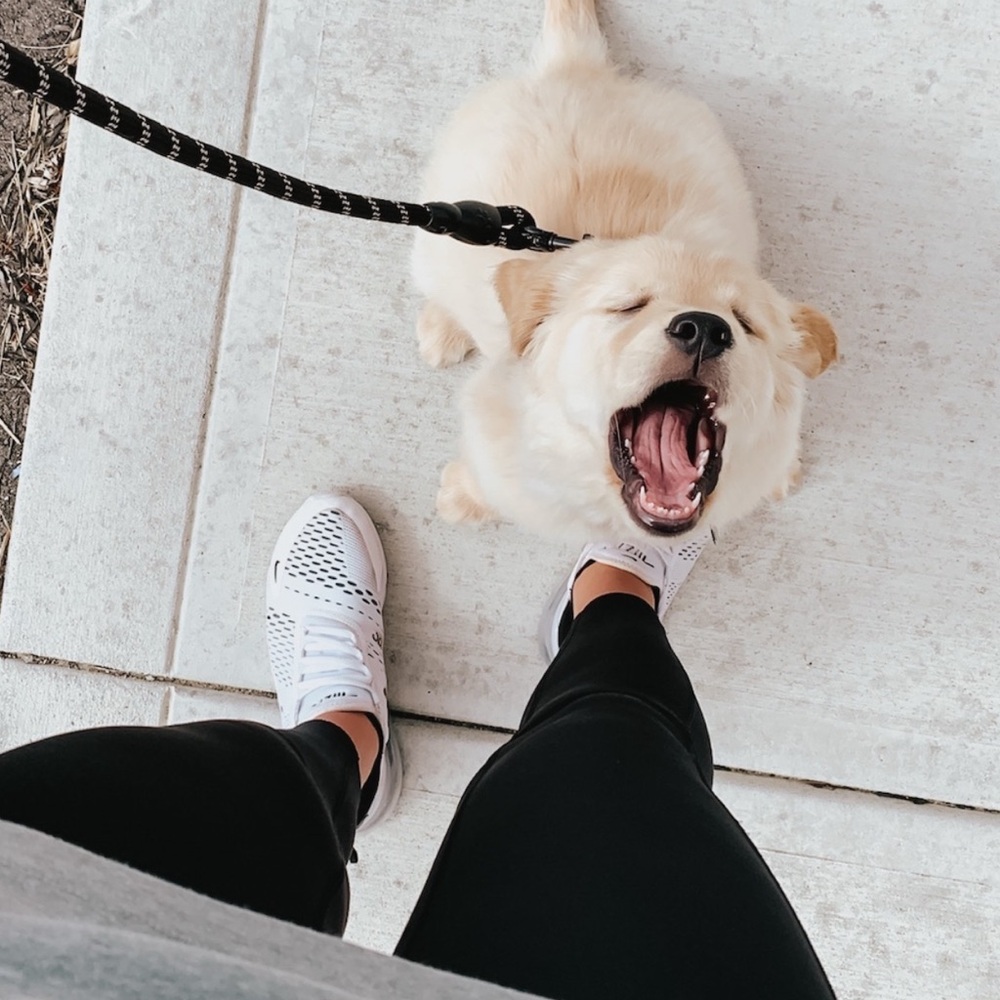 Meet your Posher, Sophia